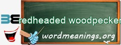 WordMeaning blackboard for redheaded woodpecker